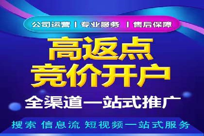 低成本高回报：百度包年竞价实战技巧揭秘